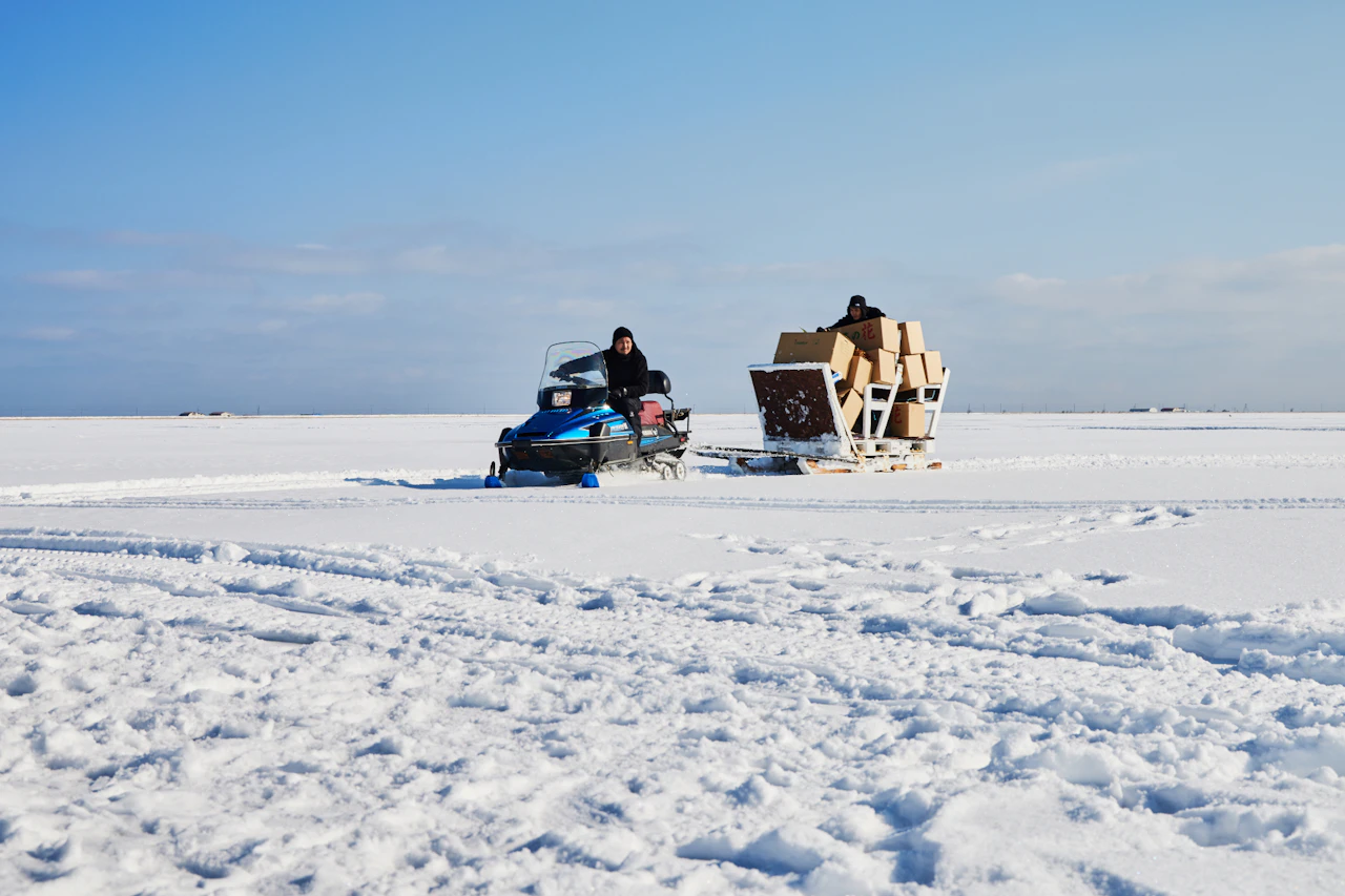 Frozen Flowers 2023 | AMKK（東信, 花樹研究所）